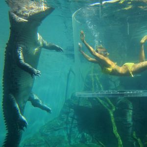 Meet your Posher, Robin